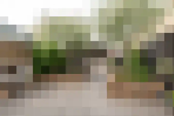 Linge 29 Wijk bij Duurstede thumbnail 17