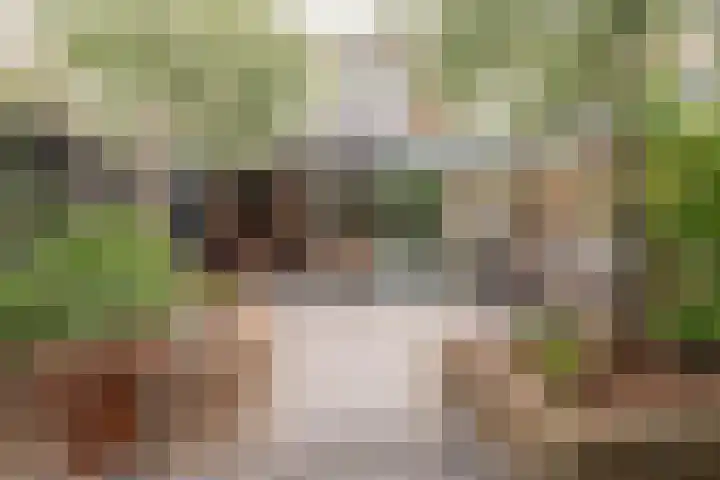 Linge 29 Wijk bij Duurstede thumbnail 18