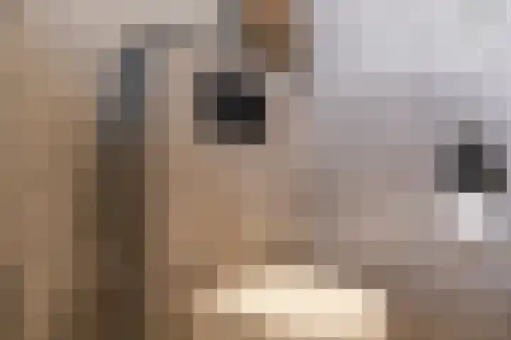 Linge 29 Wijk bij Duurstede thumbnail 29