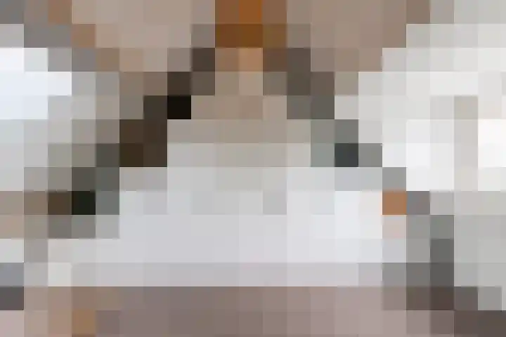 Linge 29 Wijk bij Duurstede thumbnail 30