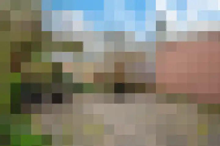 Linge 3 Apeldoorn thumbnail 18