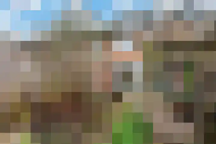 Linge 3 Apeldoorn thumbnail 20