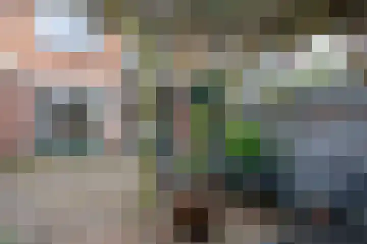 Linge 3 Apeldoorn thumbnail 22