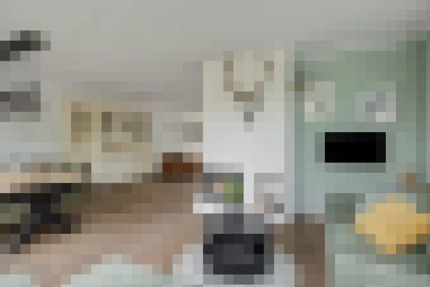 Linge 3 Deurne thumbnail 12