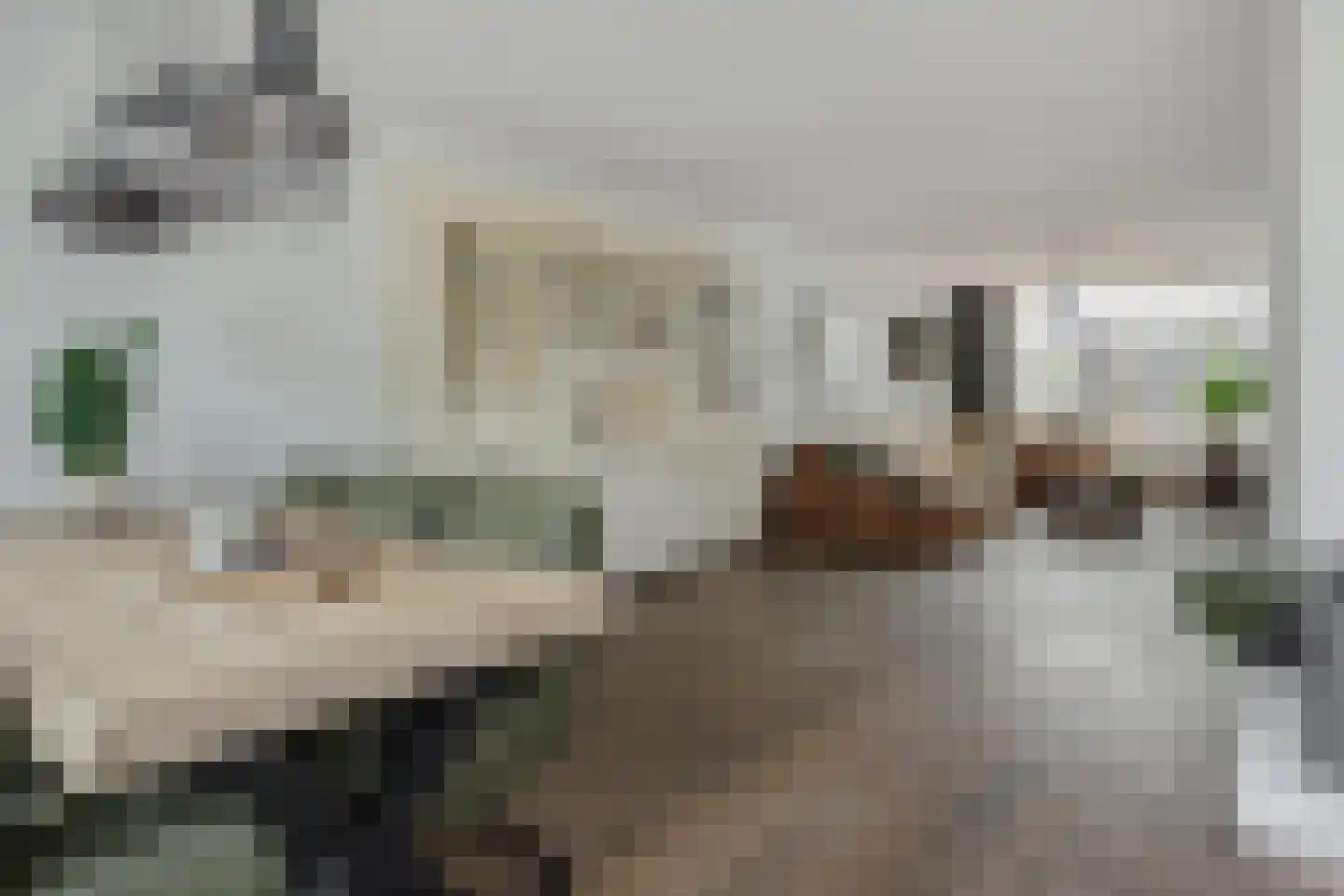 Linge 3 Deurne thumbnail 15