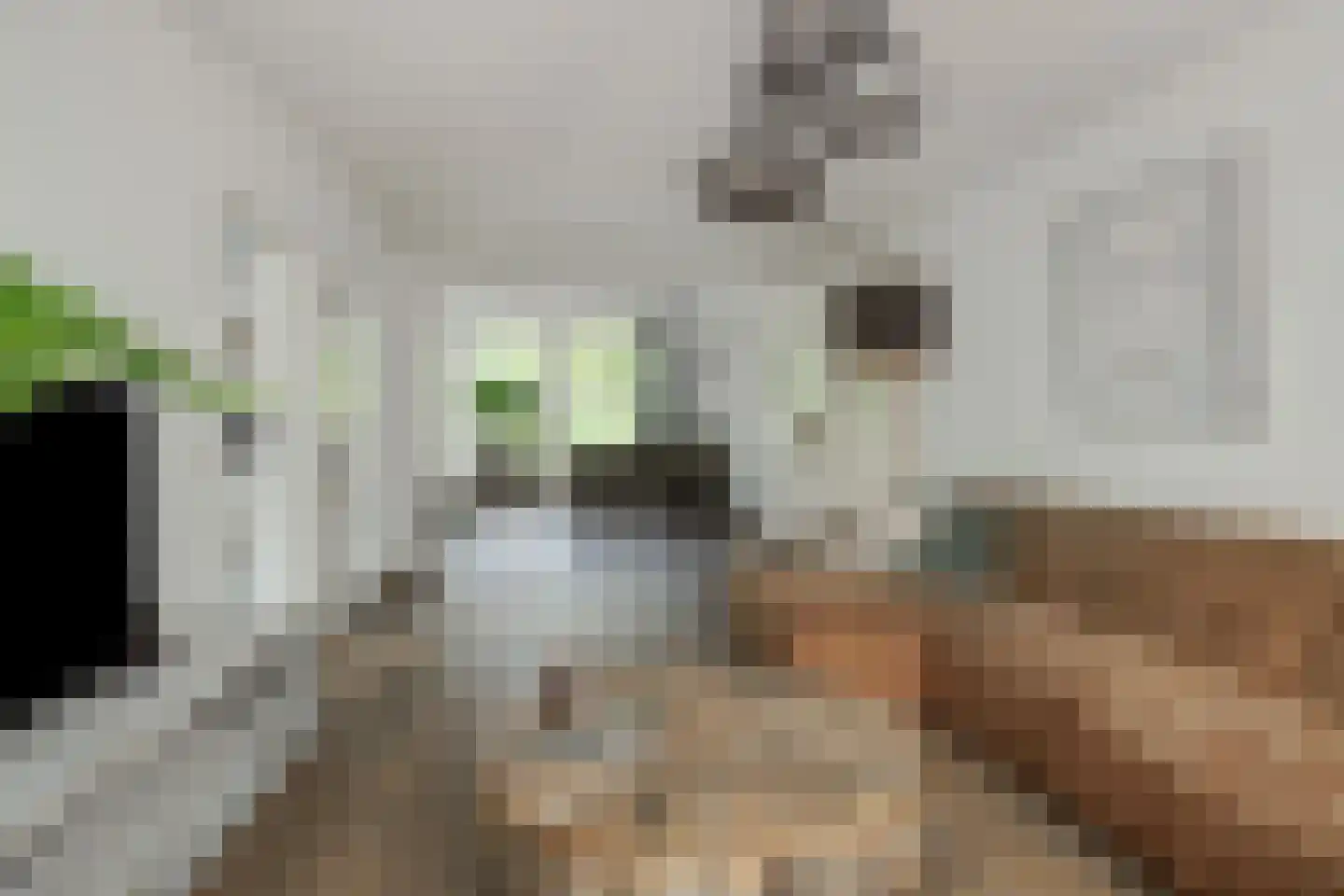 Linge 3 Deurne thumbnail 16