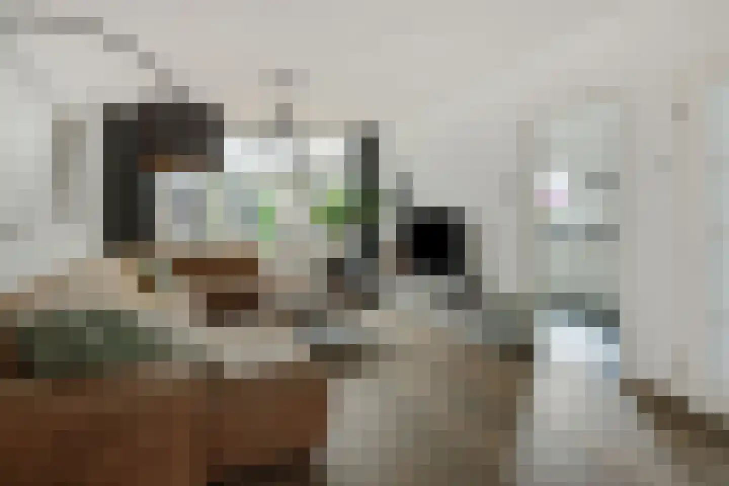 Linge 3 Deurne thumbnail 17