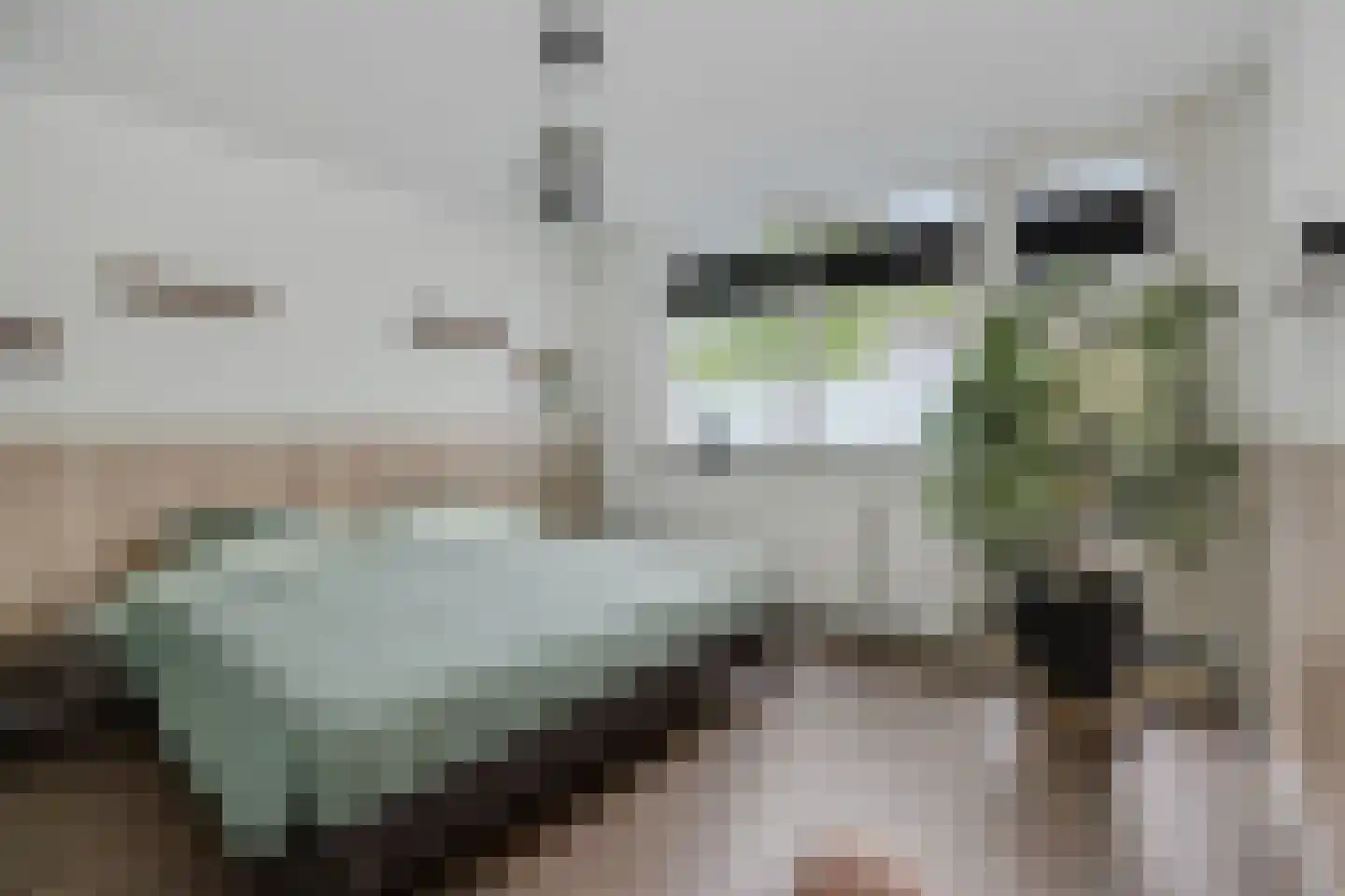 Linge 3 Deurne thumbnail 22