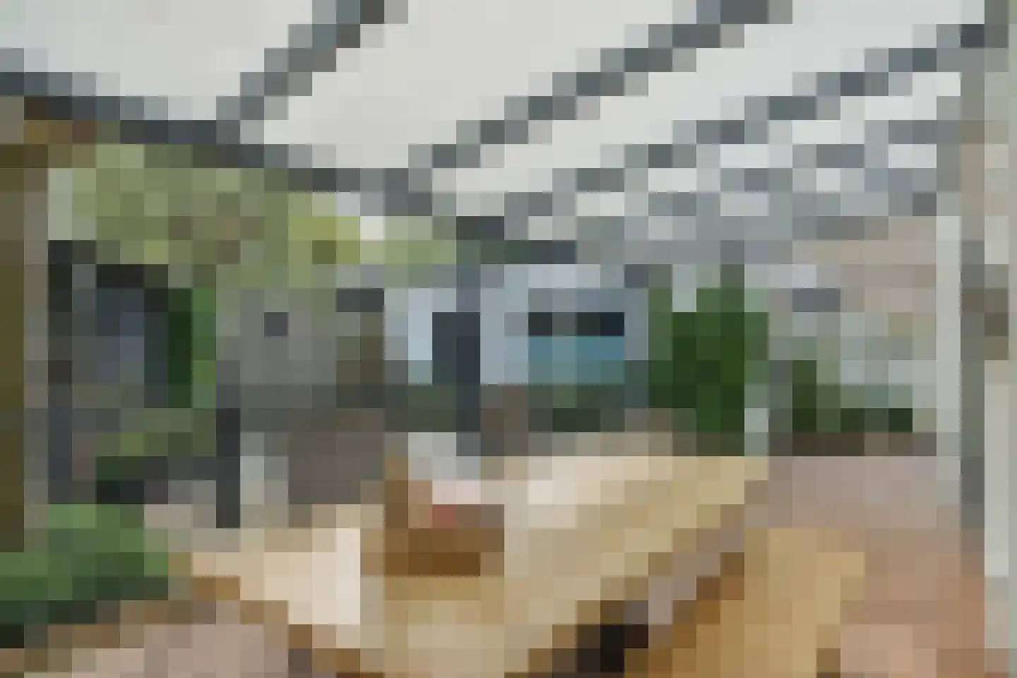 Linge 3 Deurne thumbnail 37