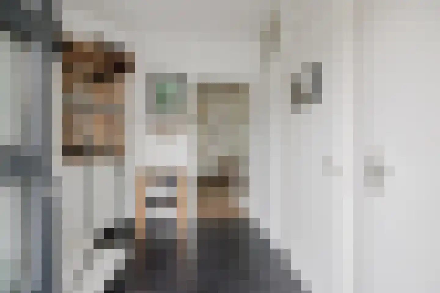 Linge 3 Deurne thumbnail 9