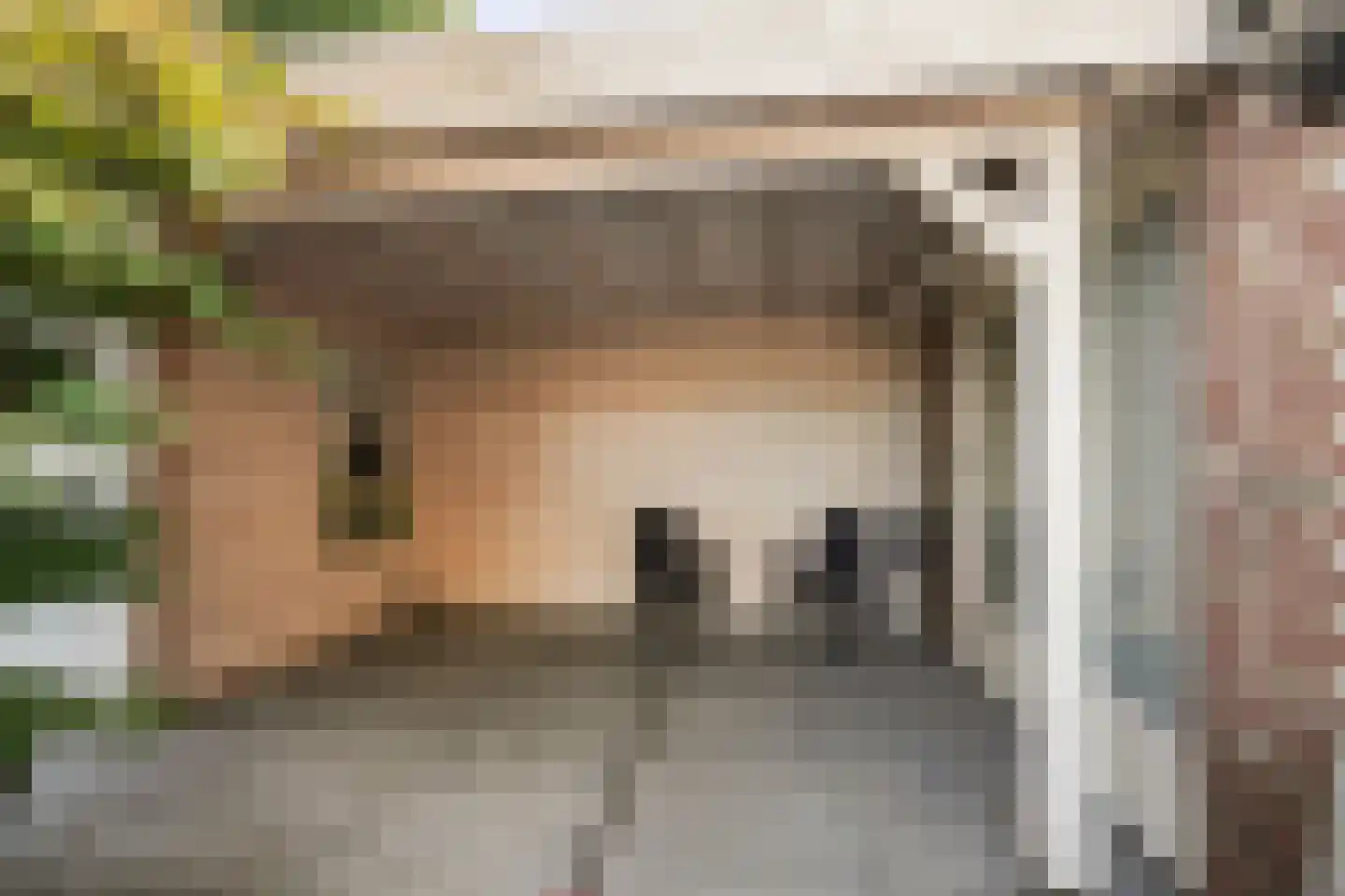 Linge 31 Kaatsheuvel thumbnail 31