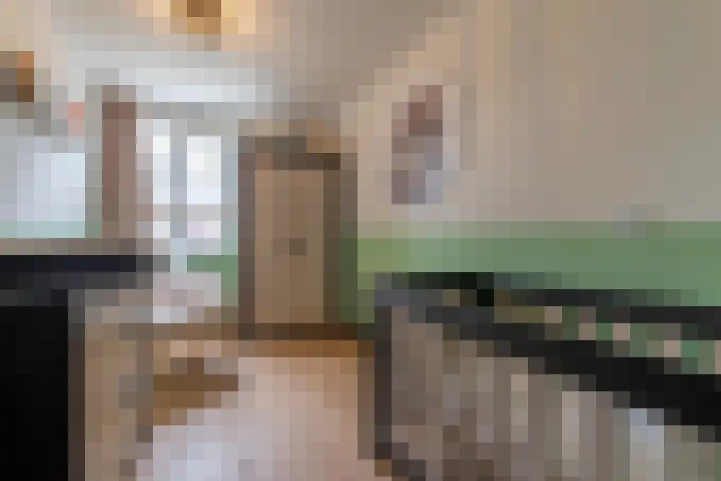 Linge 31 Veenendaal thumbnail 16