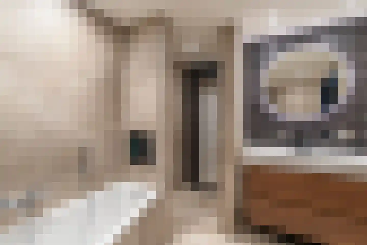 Linge 31 Veenendaal thumbnail 22