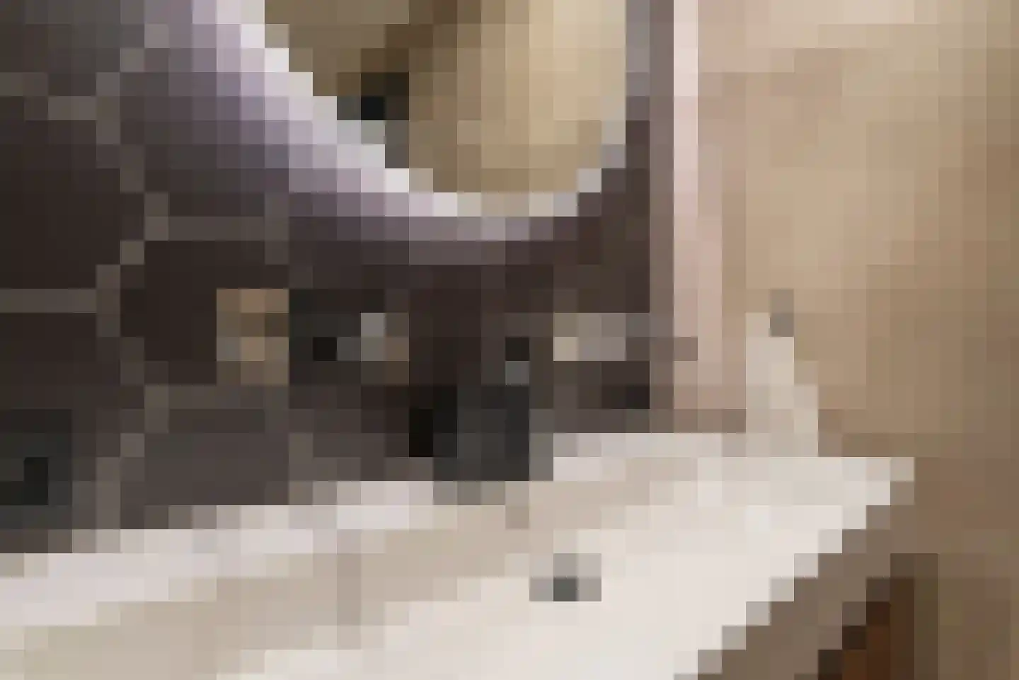 Linge 31 Veenendaal thumbnail 25
