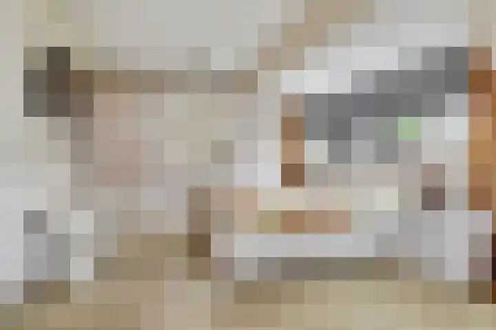Linge 34 Wijk bij Duurstede thumbnail 13