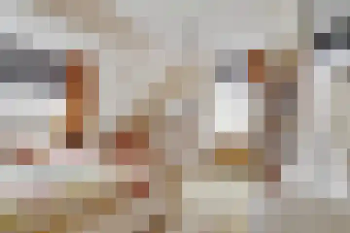 Linge 34 Wijk bij Duurstede thumbnail 14