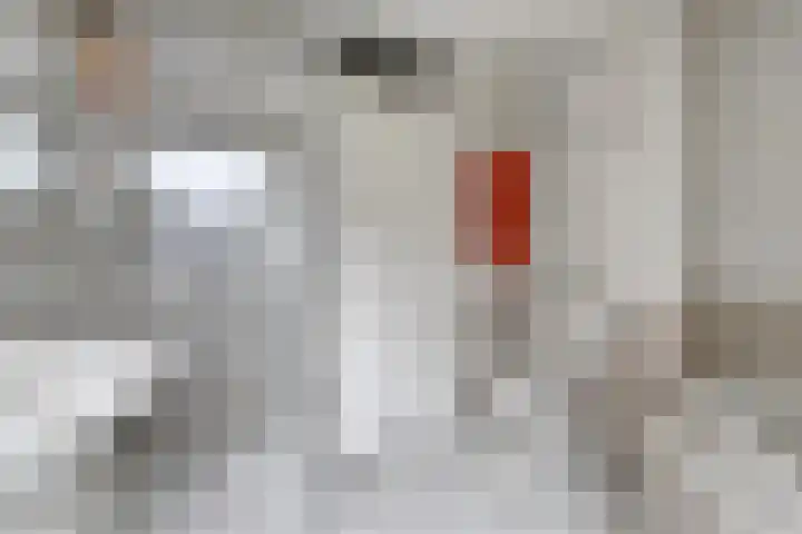 Linge 34 Wijk bij Duurstede thumbnail 17