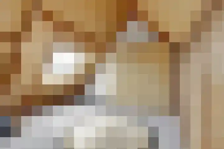 Linge 34 Wijk bij Duurstede thumbnail 22