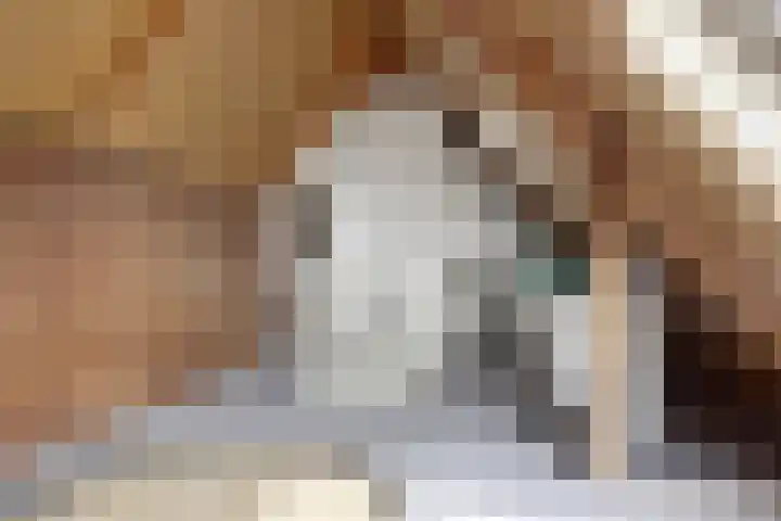 Linge 34 Wijk bij Duurstede thumbnail 23