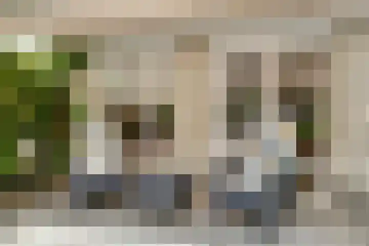 Linge 34 Wijk bij Duurstede thumbnail 28