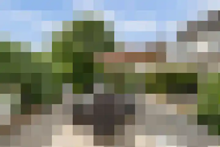 Linge 34 Wijk bij Duurstede thumbnail 31