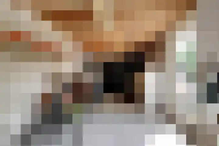 Linge 34 Wijk bij Duurstede thumbnail 32