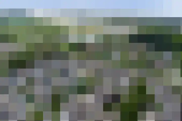 Linge 34 Wijk bij Duurstede thumbnail 37