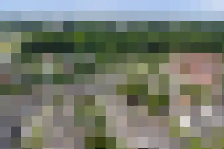 Linge 34 Wijk bij Duurstede thumbnail 38