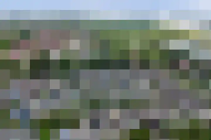 Linge 34 Wijk bij Duurstede thumbnail 39