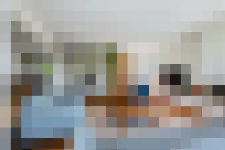 Linge 48 Nieuwerkerk aan den IJssel thumbnail 12