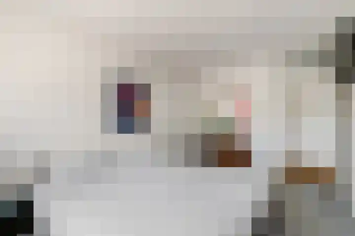 Linge 48 Nieuwerkerk aan den IJssel thumbnail 25