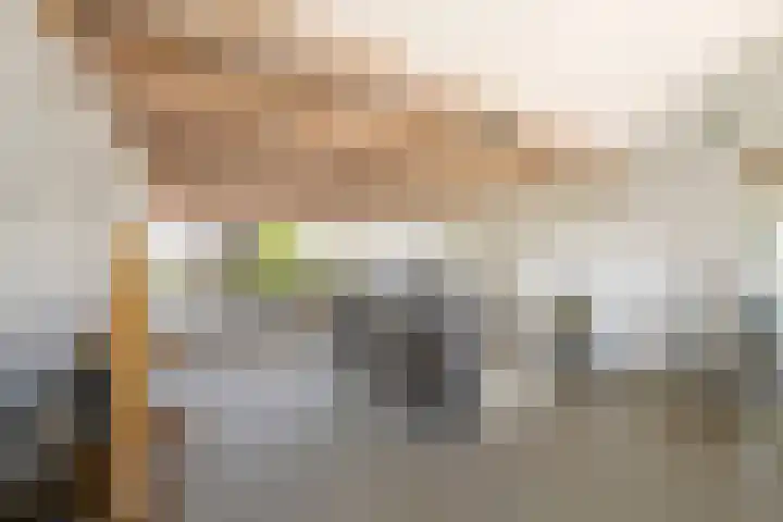 Linge 48 Nieuwerkerk aan den IJssel thumbnail 31