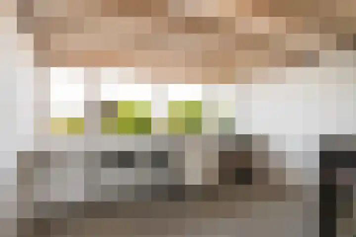 Linge 48 Nieuwerkerk aan den IJssel thumbnail 33