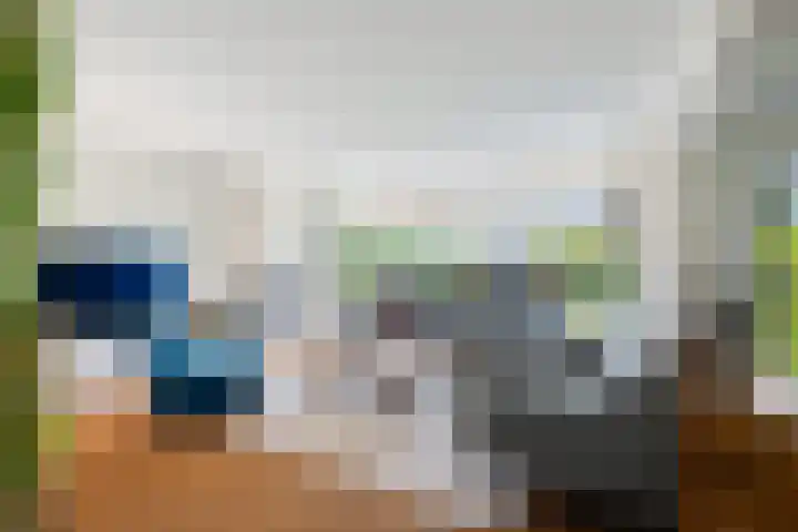 Linge 48 Nieuwerkerk aan den IJssel thumbnail 8