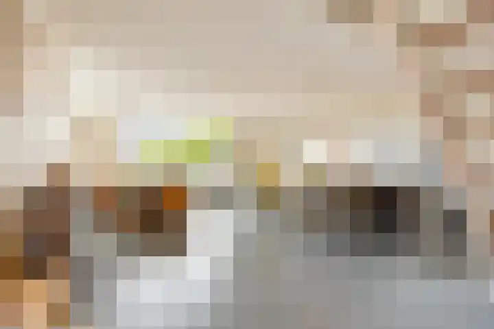 Linge 55 Nieuwerkerk aan den IJssel thumbnail 11
