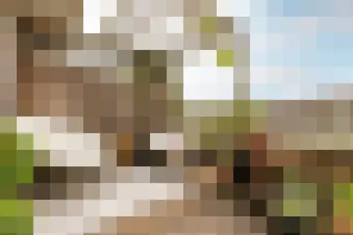 Linge 55 Nieuwerkerk aan den IJssel thumbnail 31
