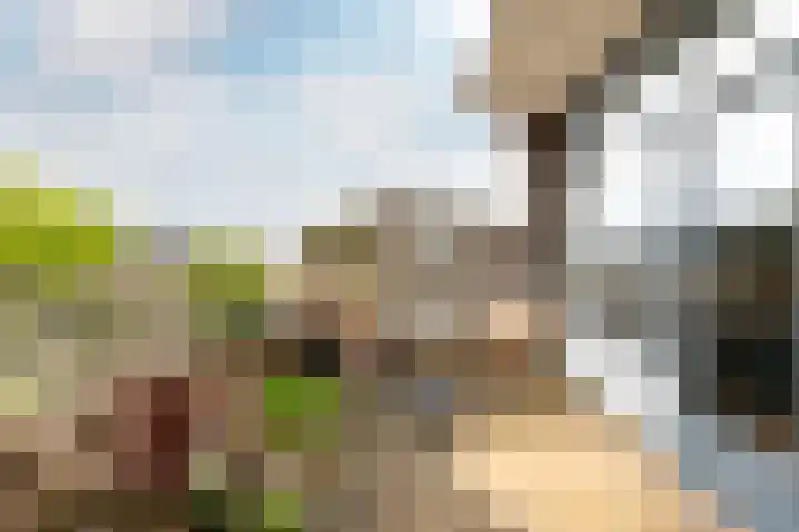 Linge 55 Nieuwerkerk aan den IJssel thumbnail 32