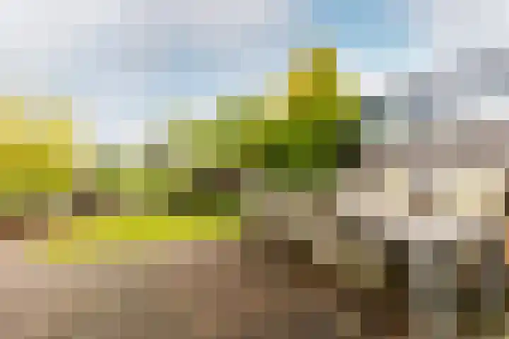 Linge 55 Nieuwerkerk aan den IJssel thumbnail 36