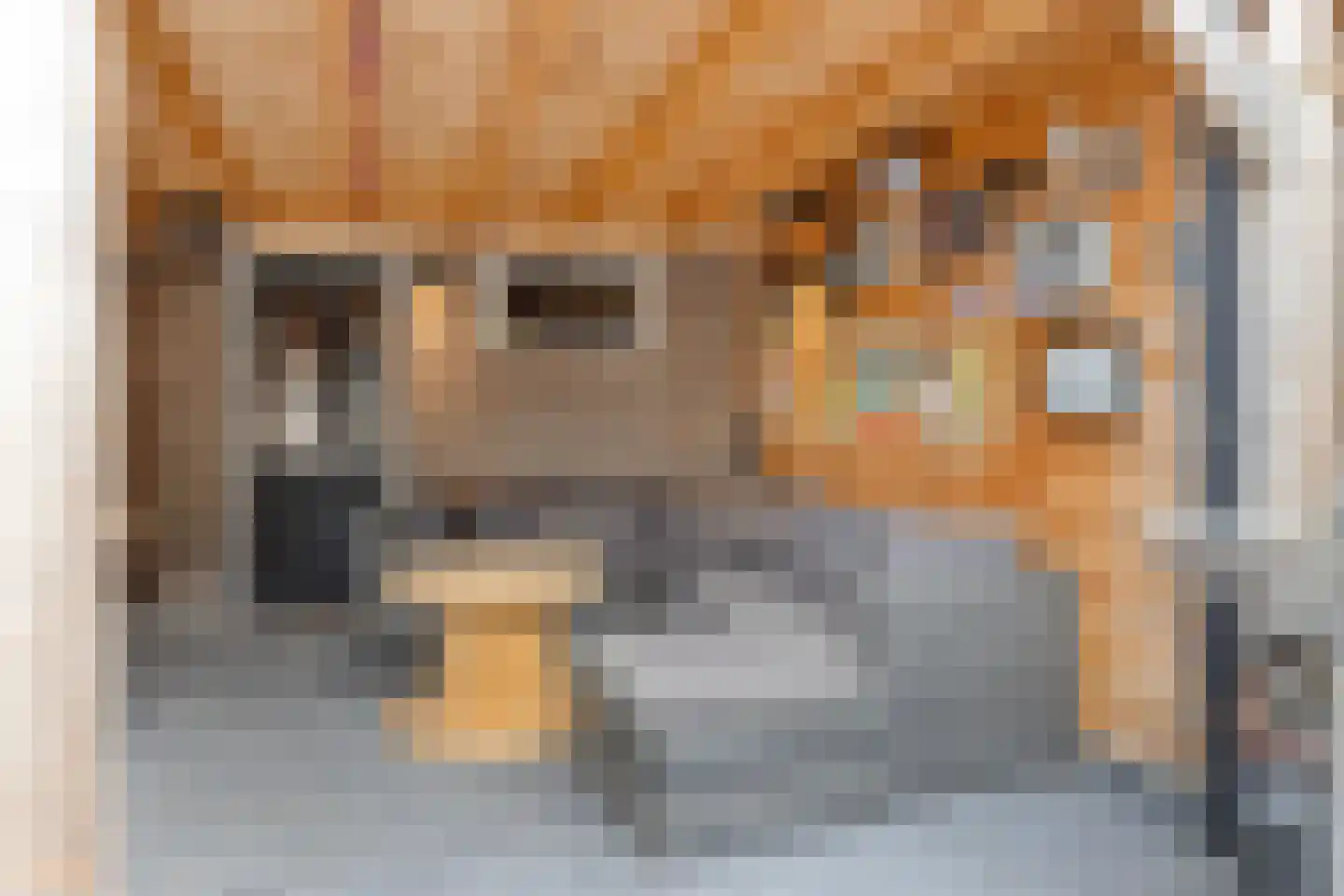 Linge 57 Tilburg thumbnail 35