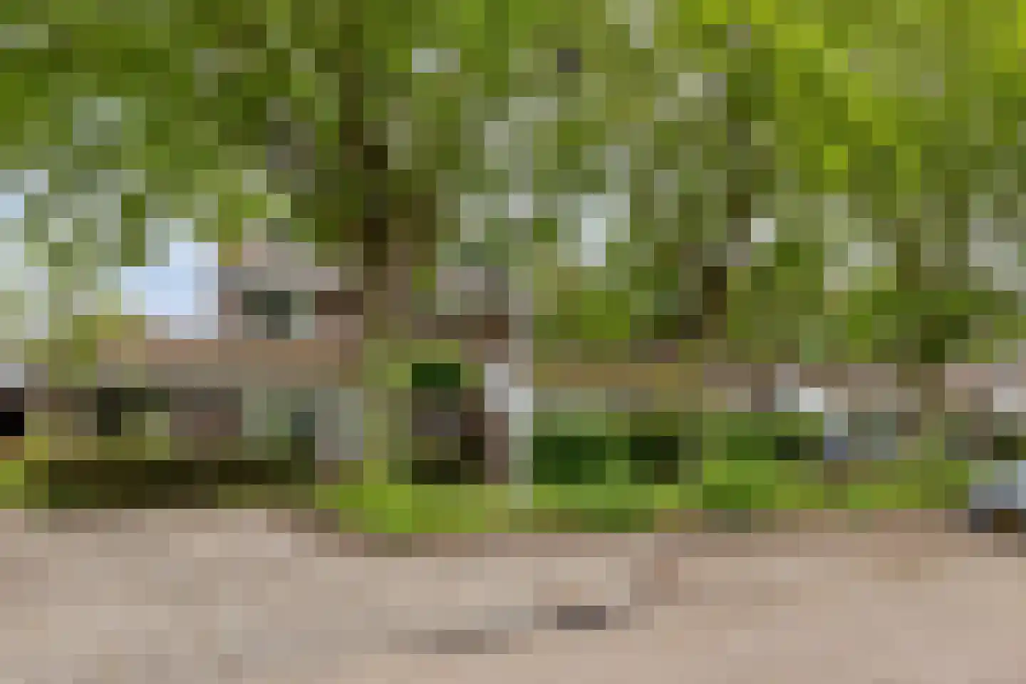Linge 57 Tilburg thumbnail 5