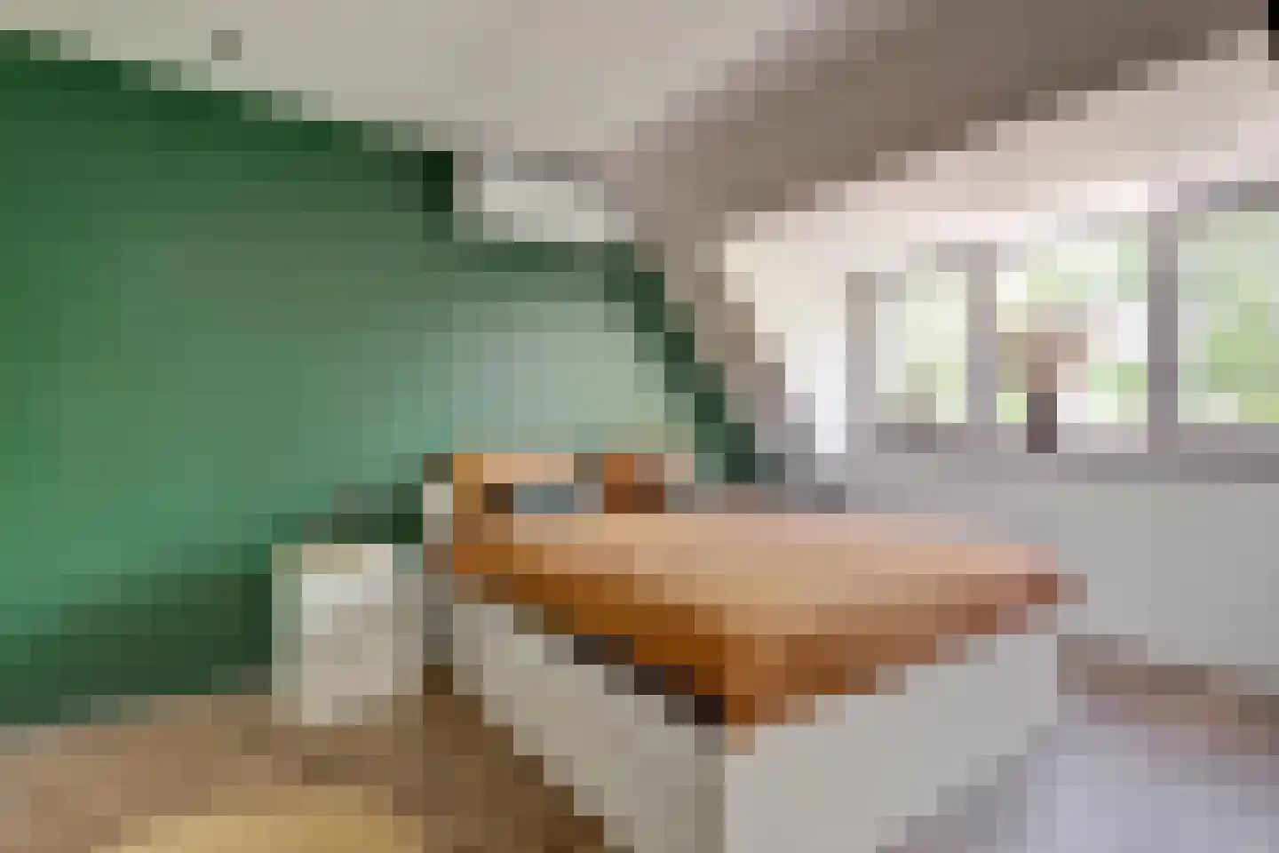 Linge 59 Wijk bij Duurstede thumbnail 16
