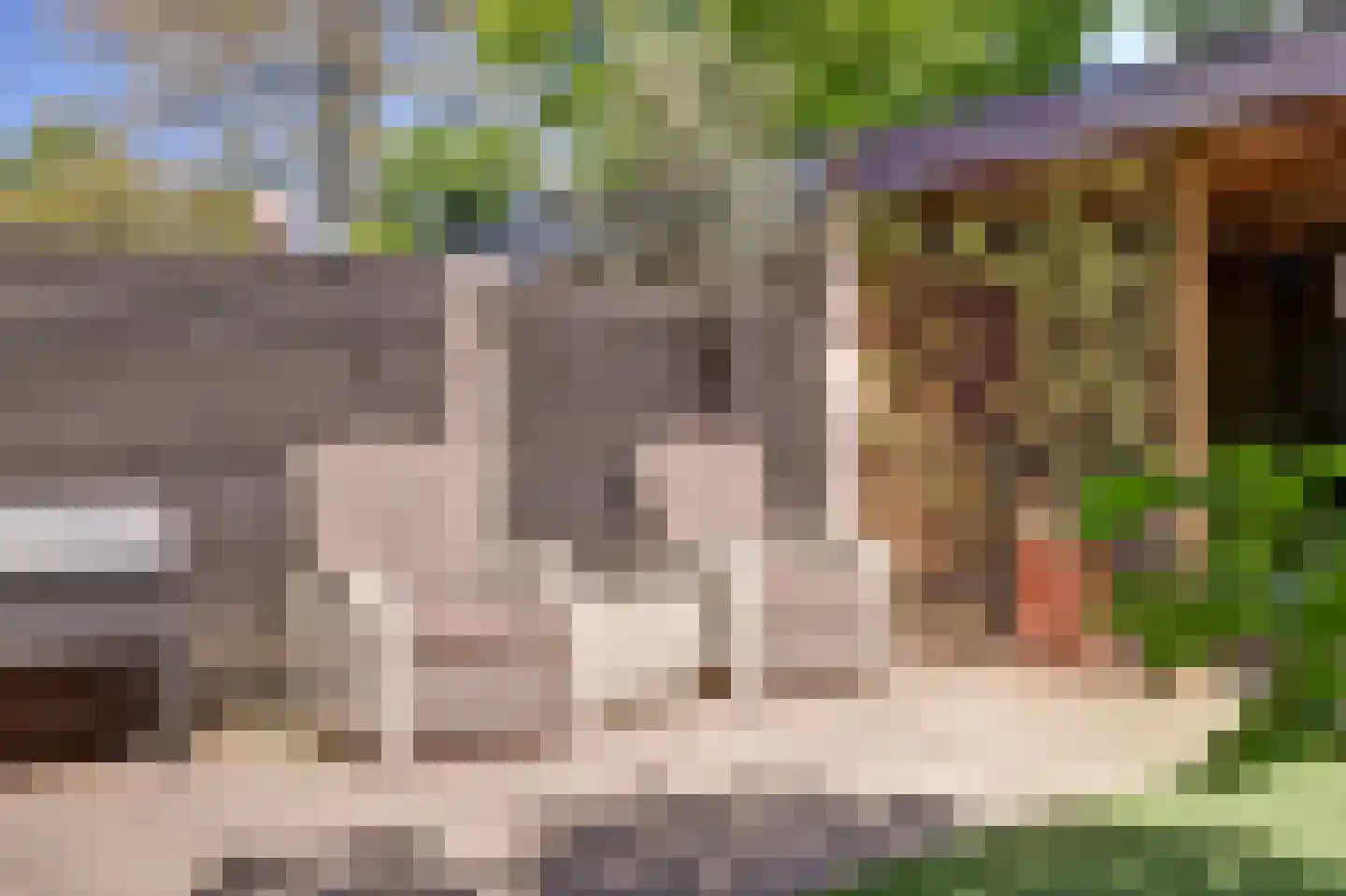 Linge 59 Wijk bij Duurstede thumbnail 33