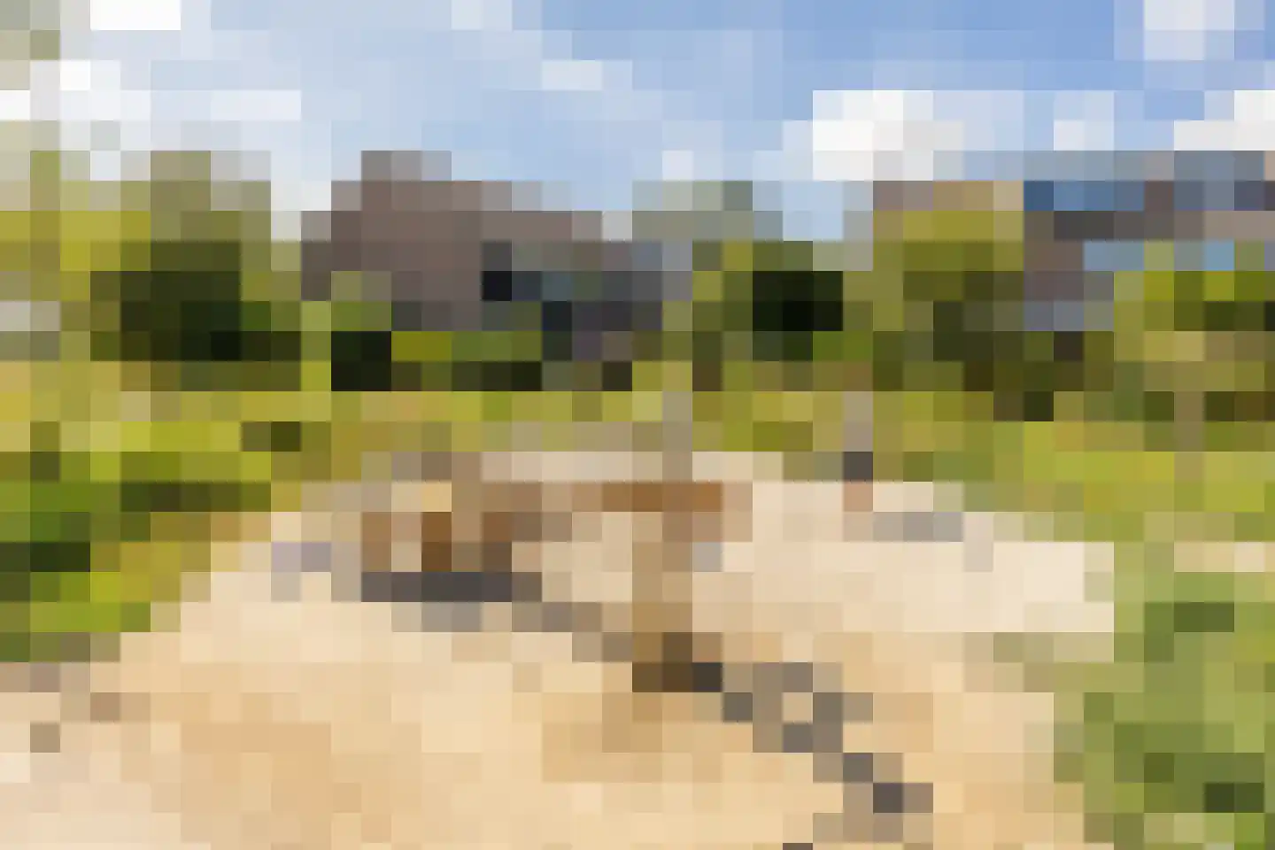 Linge 64 Heemstede thumbnail 19