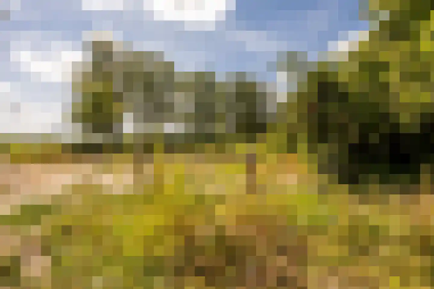 Linge 64 Heemstede thumbnail 20