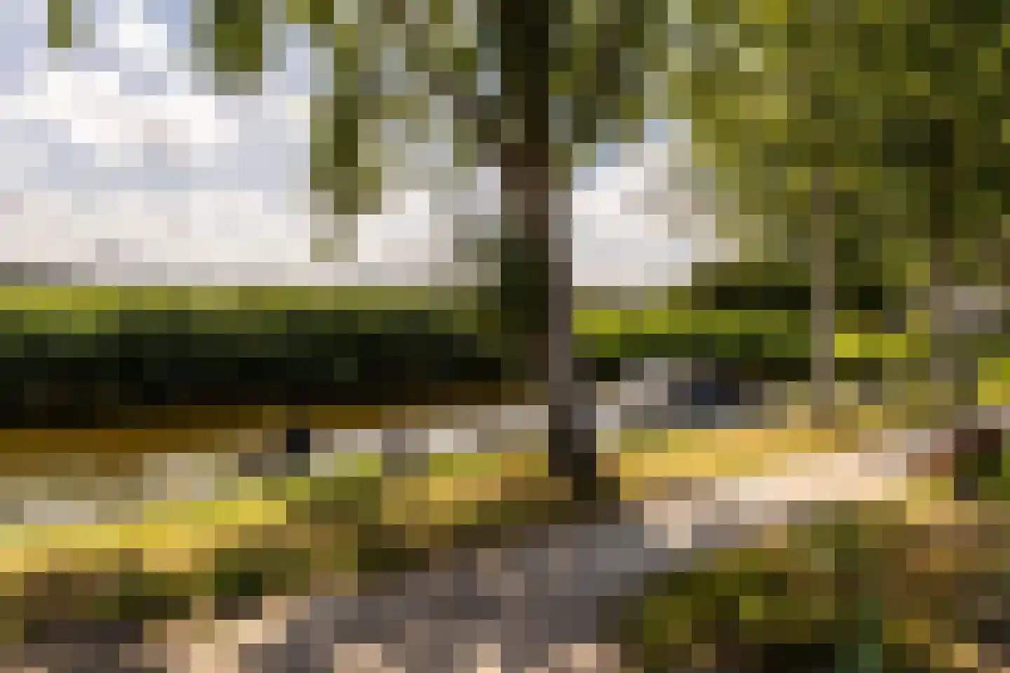 Linge 64 Heemstede thumbnail 21
