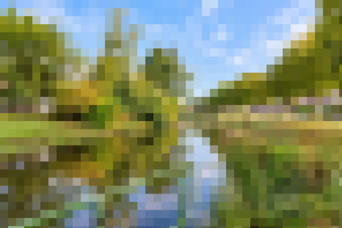 Linge 73 Tilburg thumbnail 31