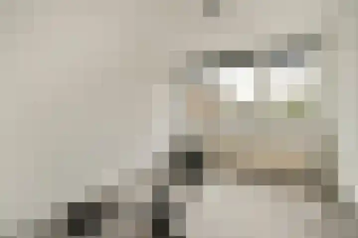Linge 87 Heemstede thumbnail 18