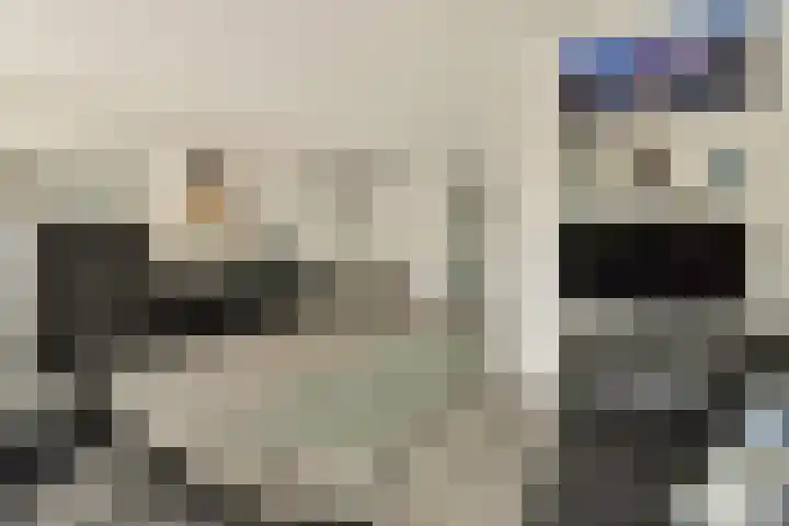 Linge 87 Heemstede thumbnail 8
