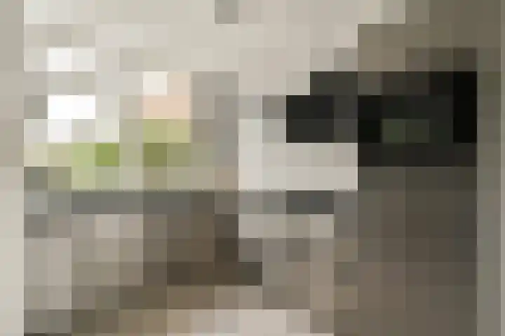 Linge 87 Heemstede thumbnail 9