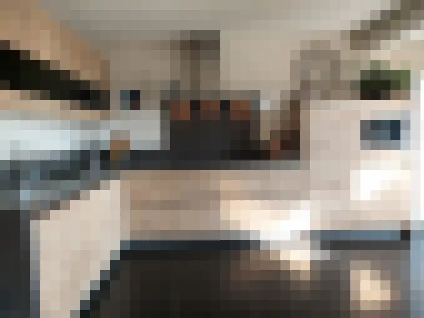 Linge Singel 1 Lienden thumbnail 14
